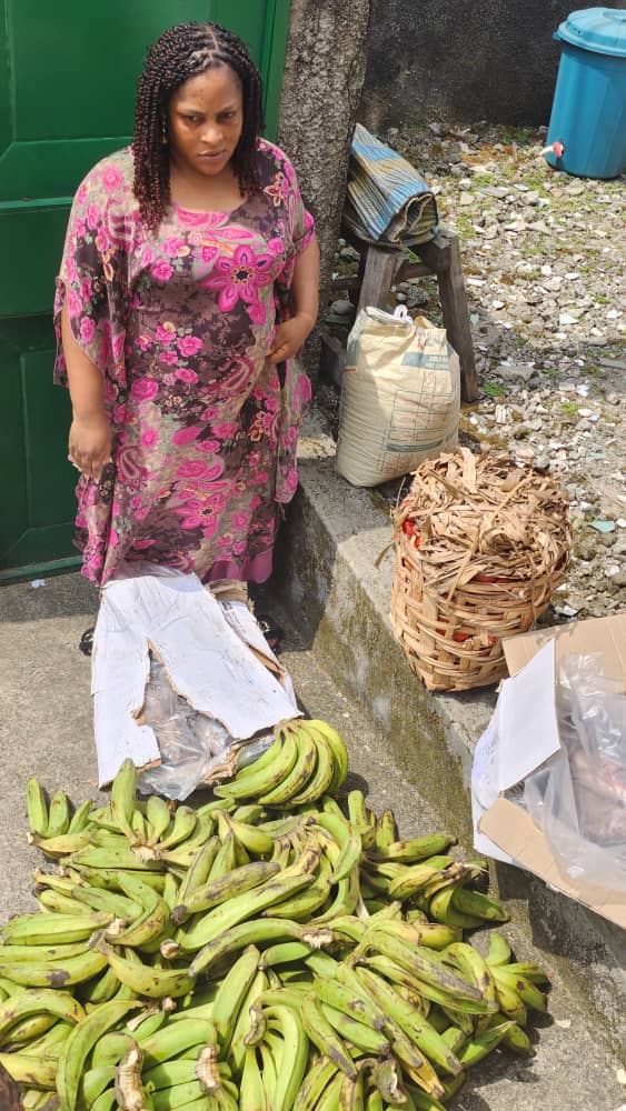 Fresh plantain straight from partner farms